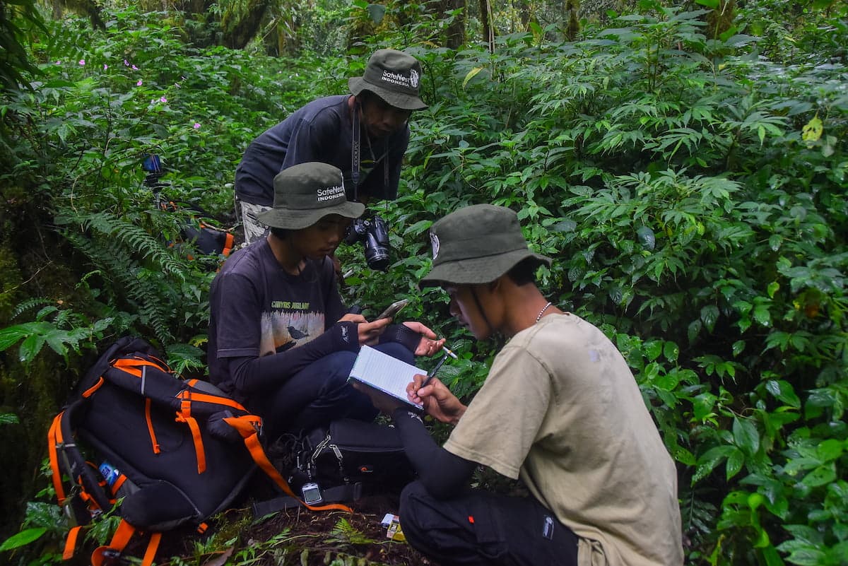 Habitat restoration work