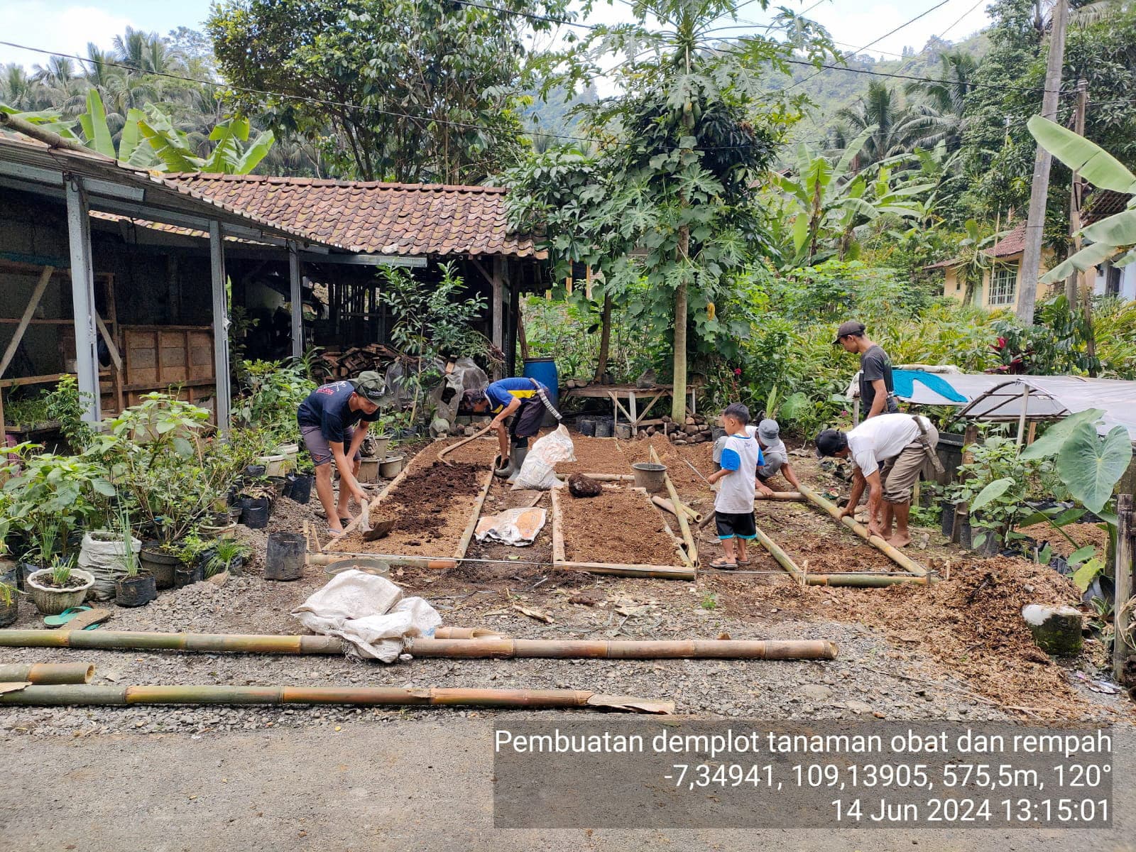 Livelihoods 4